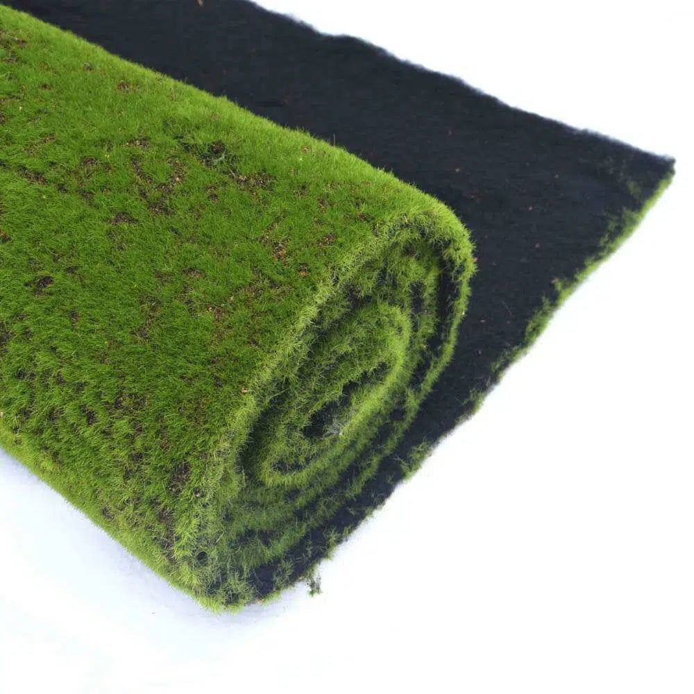 Artificial Moss Wall Covering 200cm x 50cm