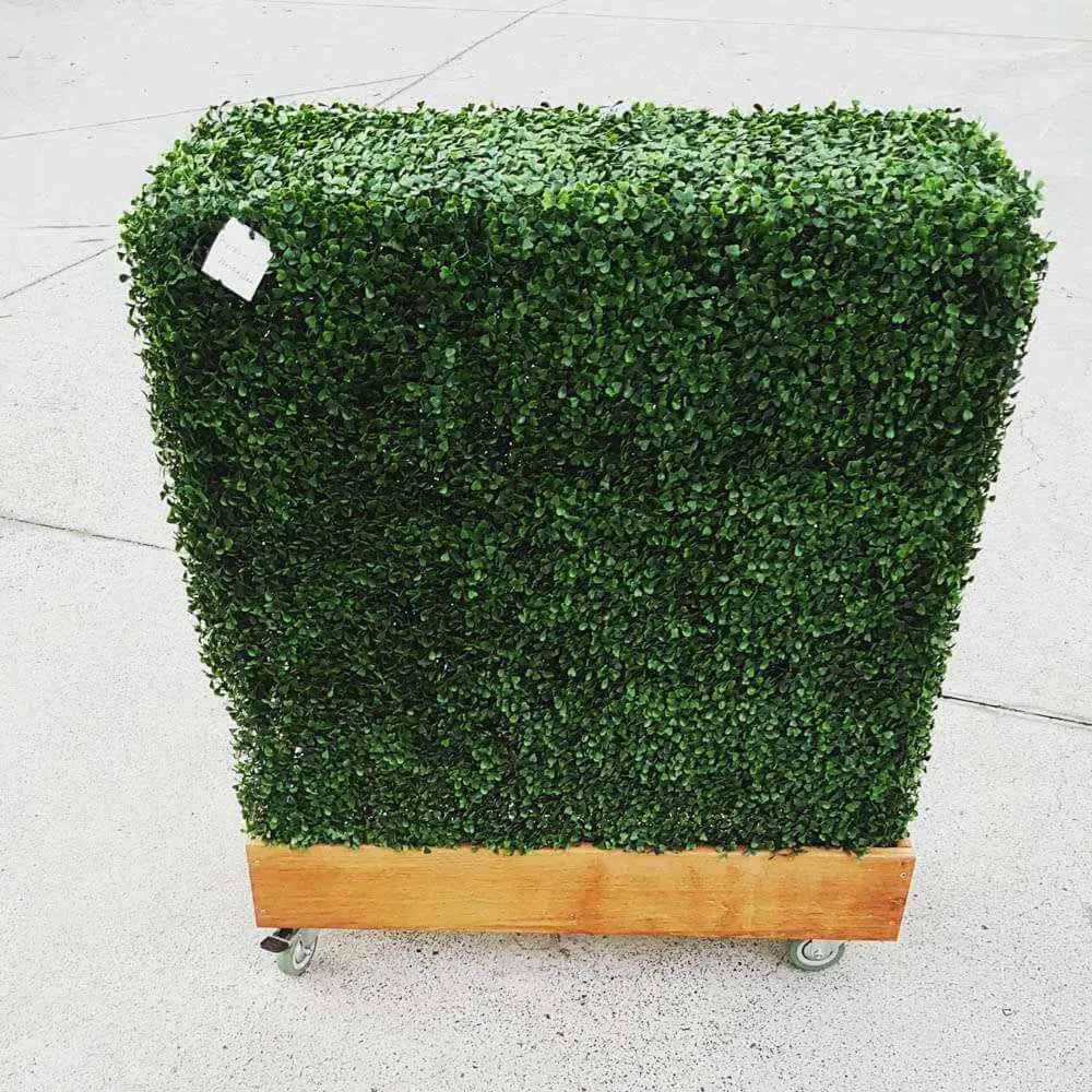 Portable Boxwood Hedge UV Resistant 75CM x 75cm