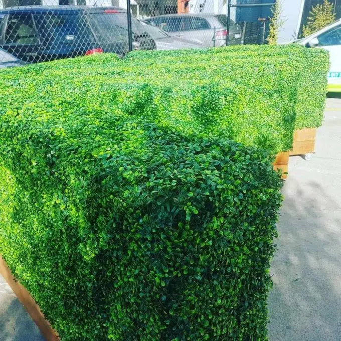 Deluxe Boxwood Hedges With Planters Various Sizes (Merbau Planters) (Wheels Optional)