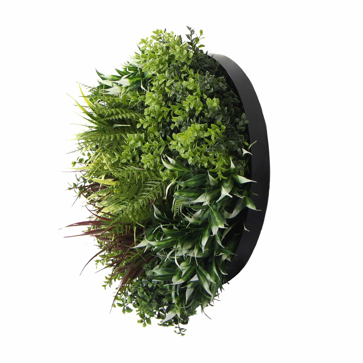 Slimline Artificial Green Wall Disc Art 50cm Green Field UV Resistant