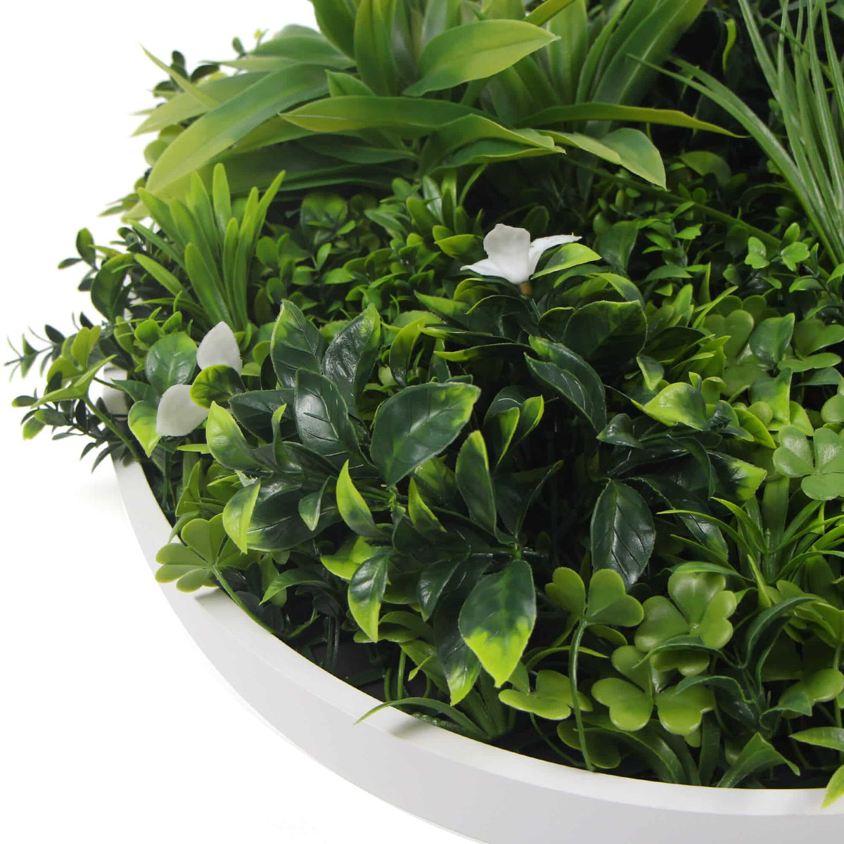 Flowering White Artificial Green Wall Disc UV Resistant 75cm Frame