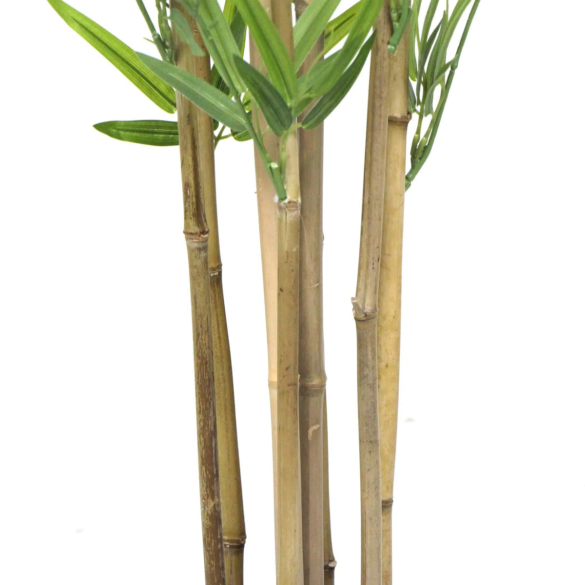 Natural Bamboo Trunk (Real Touch Leaves) 180cm