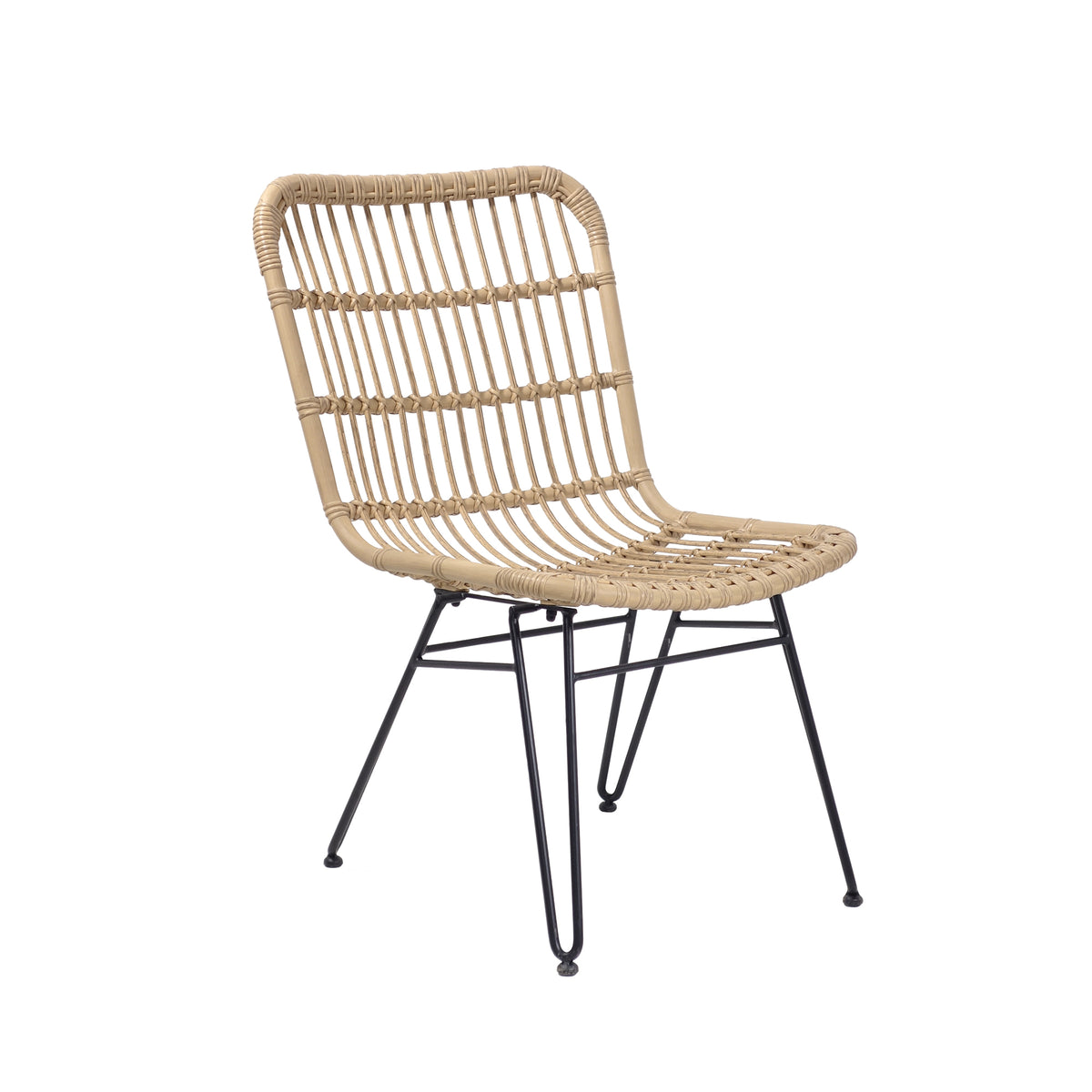 Cairns Dining Chair