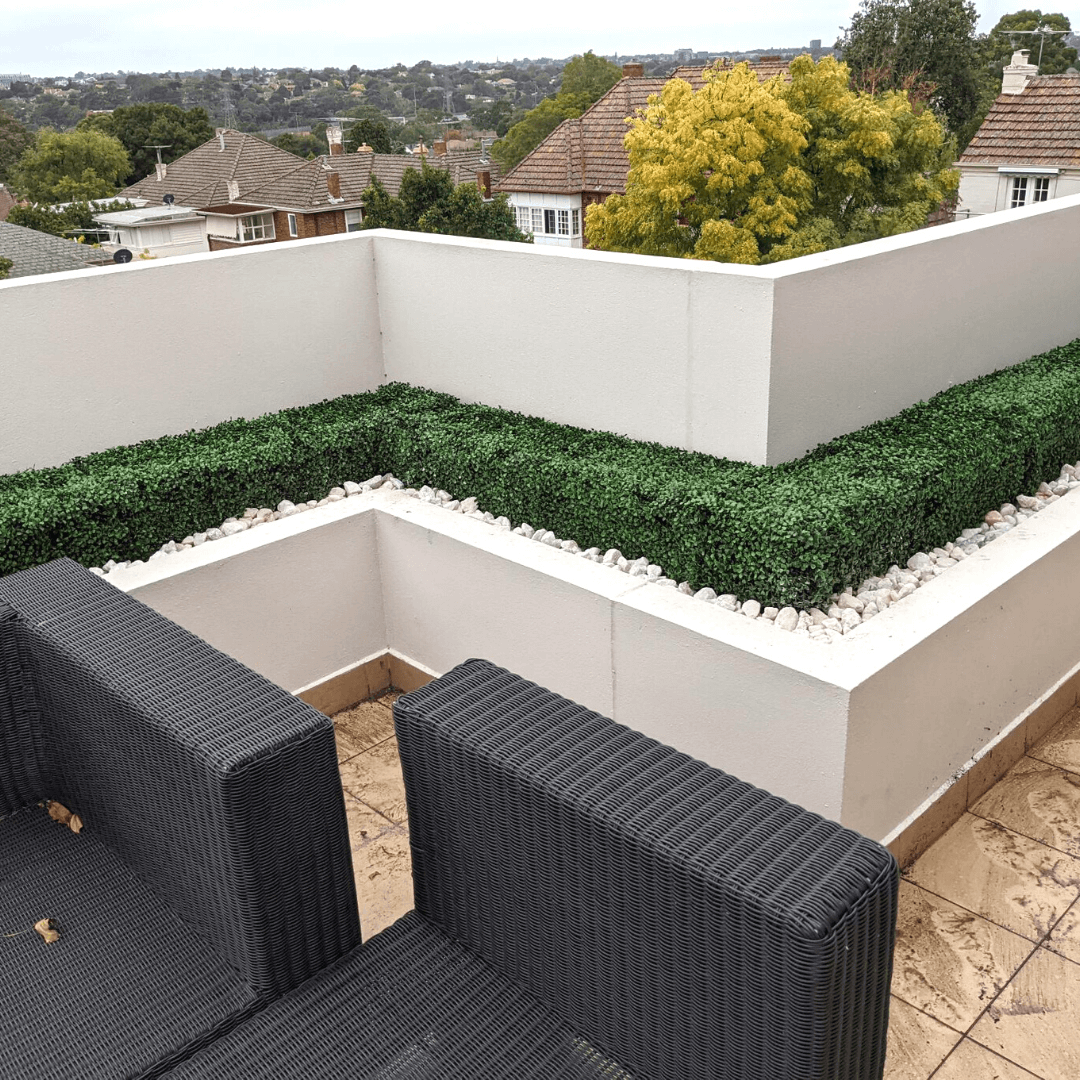 Portable Boxwood Hedge UV Resistant 25cm High 100cm Long - Active Workspace