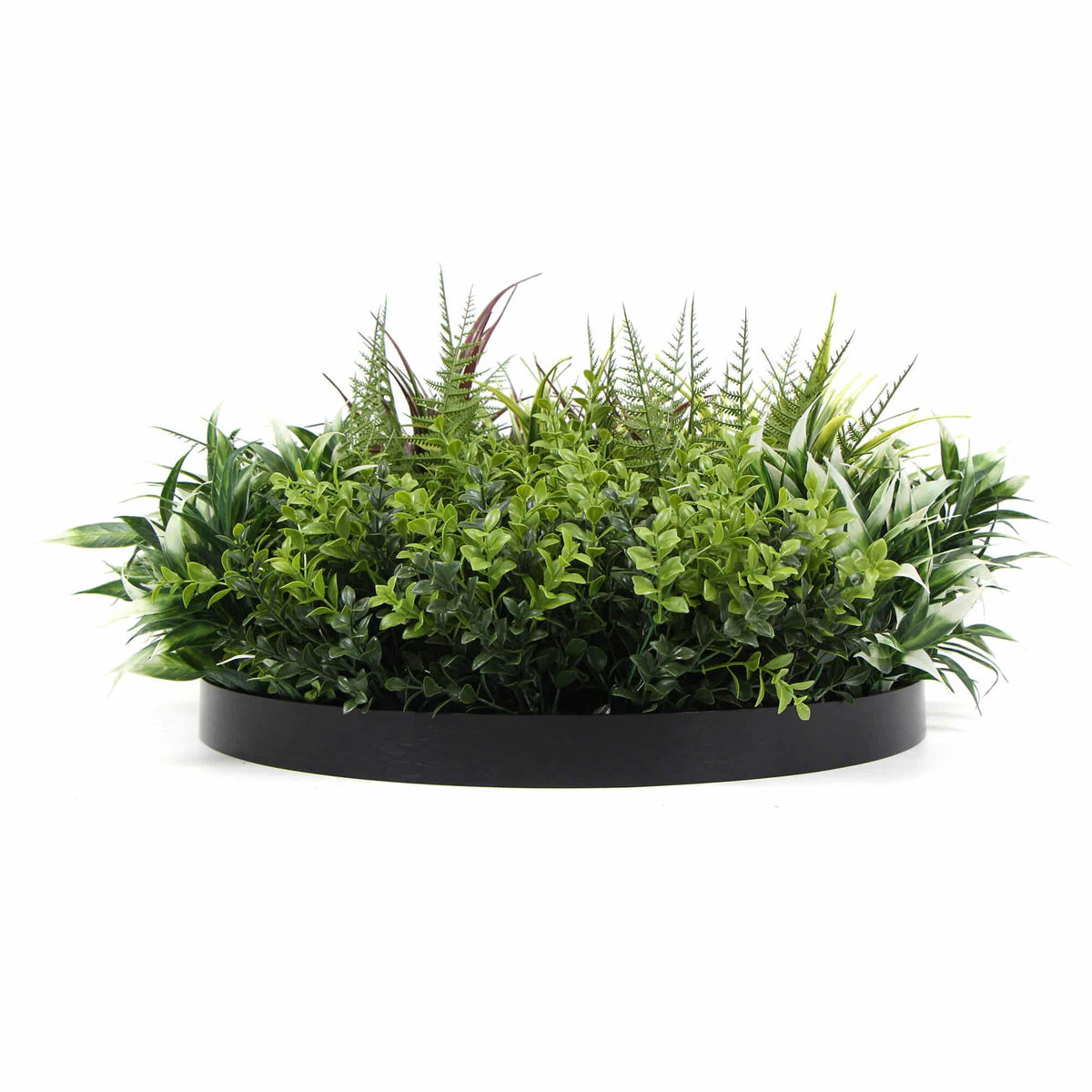 Slimline Artificial Green Wall Disc Art 50cm Green Field UV Resistant