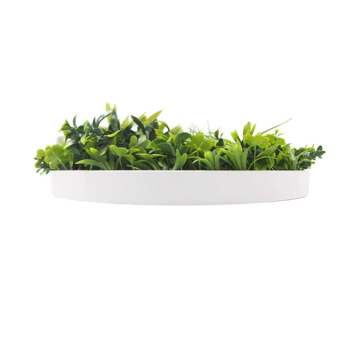 Slimline Flowering White Artificial Green Wall Disc UV Resistant 100cm Frame