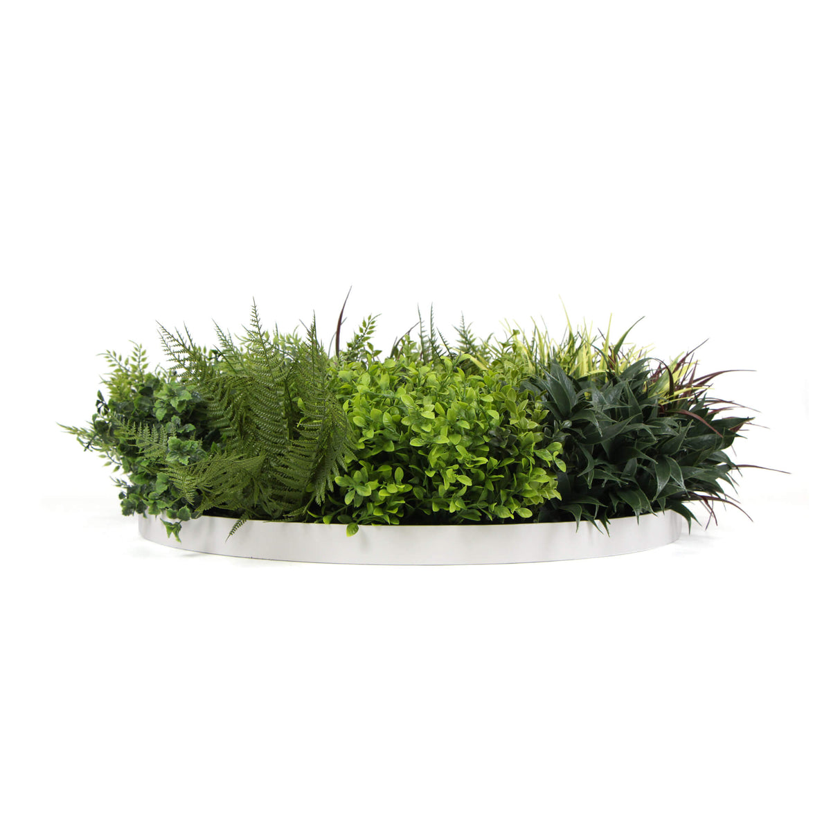 Slimline Artificial Green Wall Disc Art 80cm Green Field UV Resistant