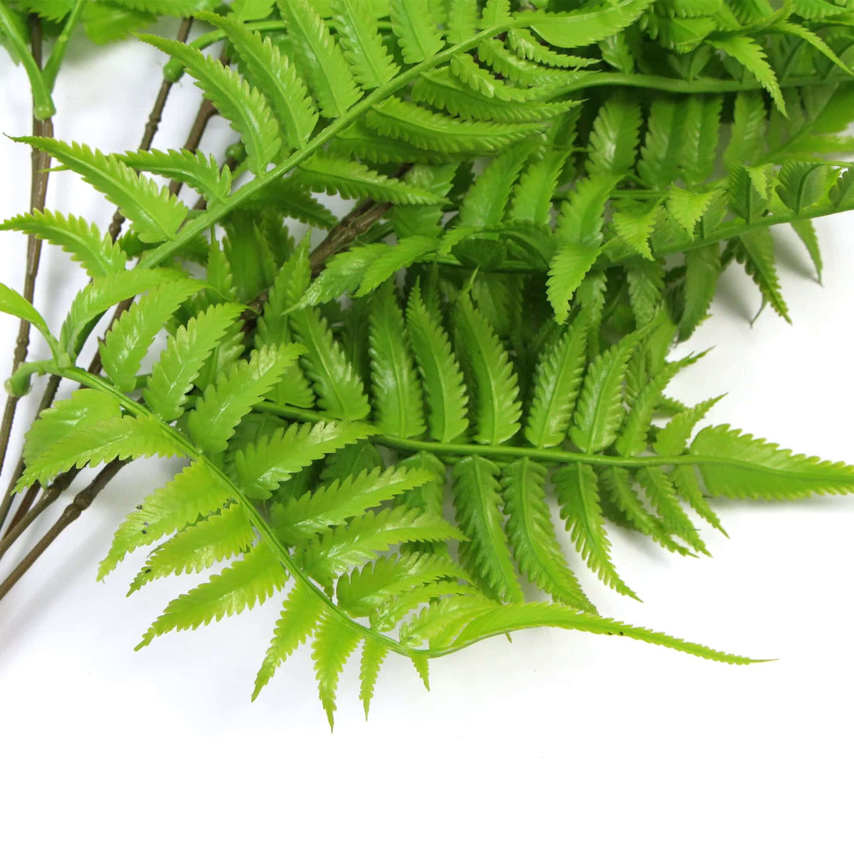 Artificial Hanging English Fern (Two-tone) Foliage UV Resistant 80cm - Active Workspace