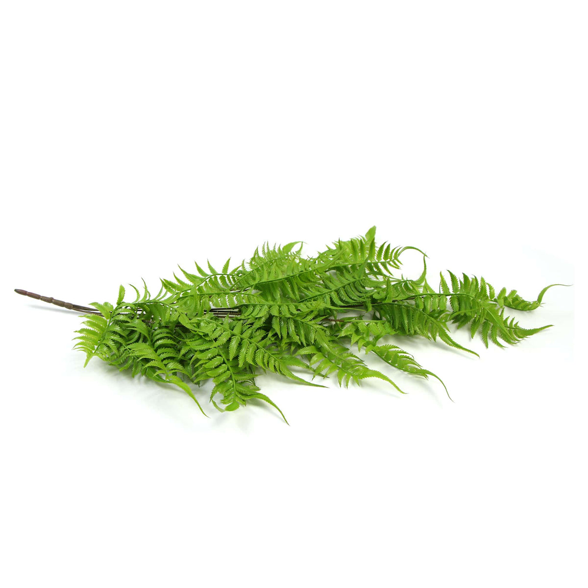 Artificial Hanging English Fern (Two-tone) Foliage UV Resistant 80cm - Active Workspace