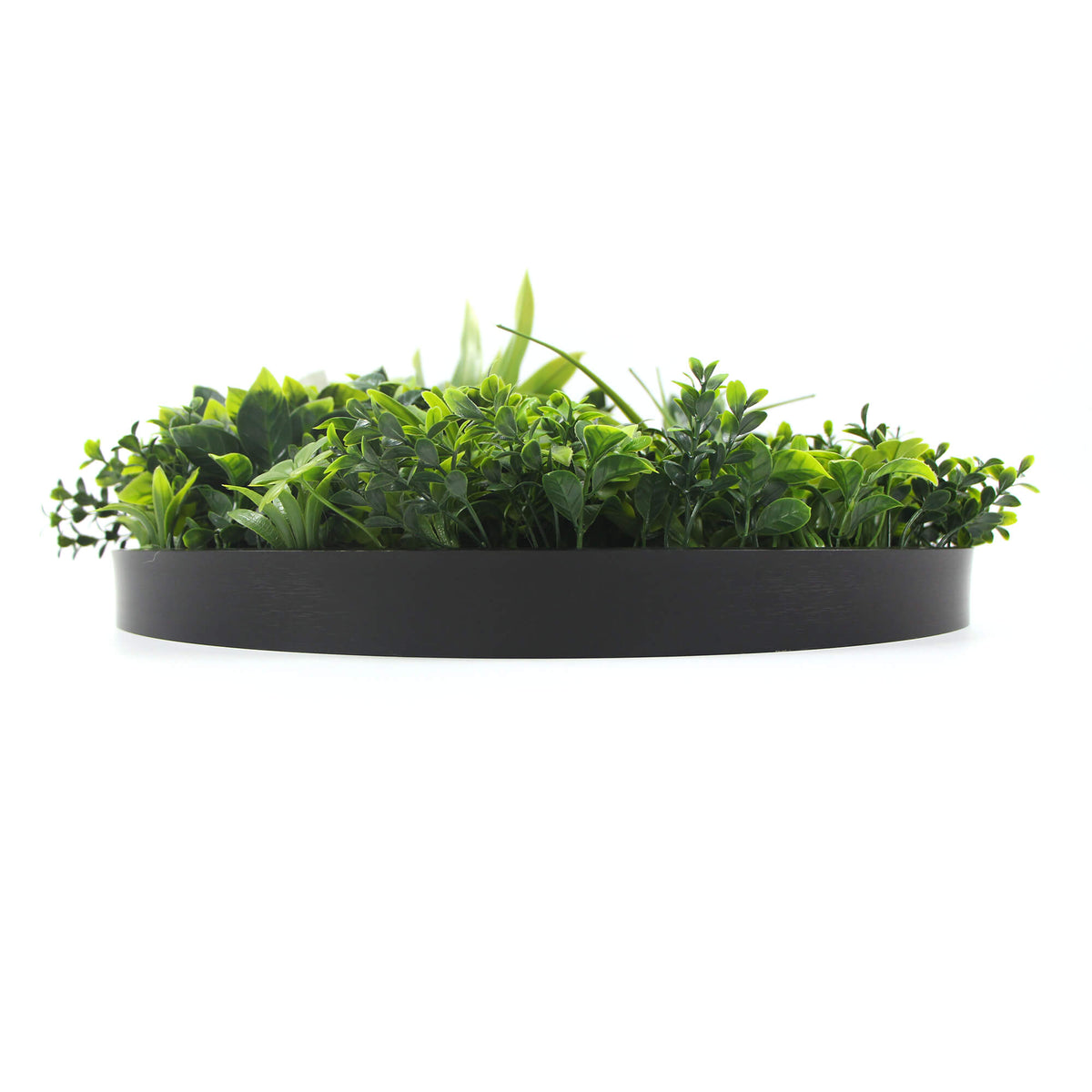 Slimline Flowering White Artificial Green Wall Disc UV Resistant 100cm Frame