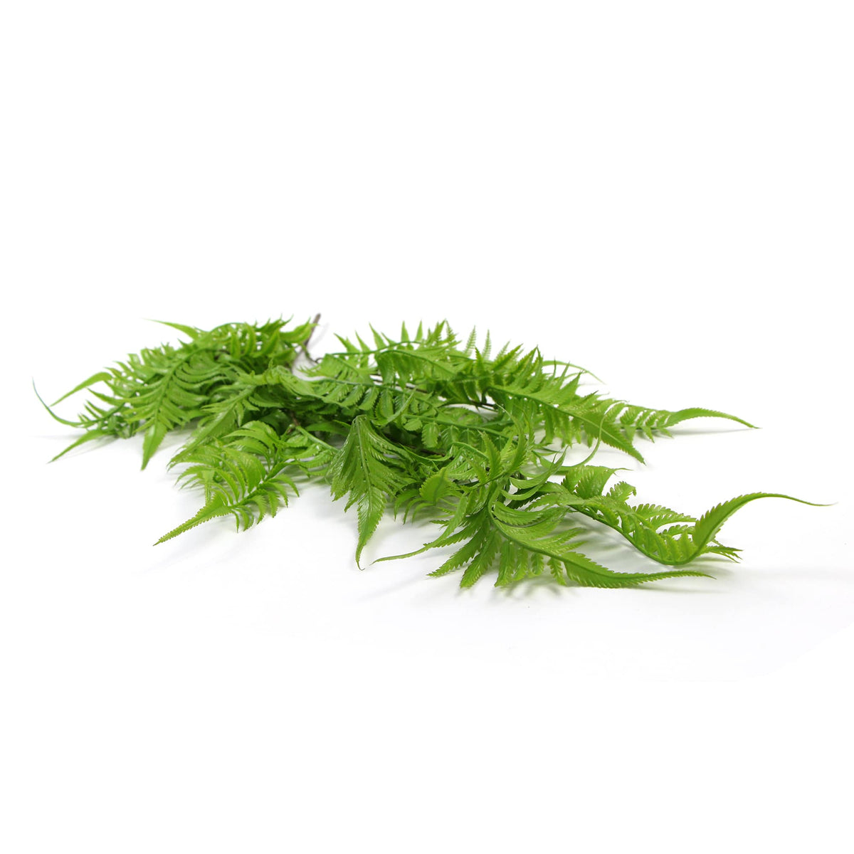 Artificial Hanging English Fern (Two-tone) Foliage UV Resistant 80cm - Active Workspace
