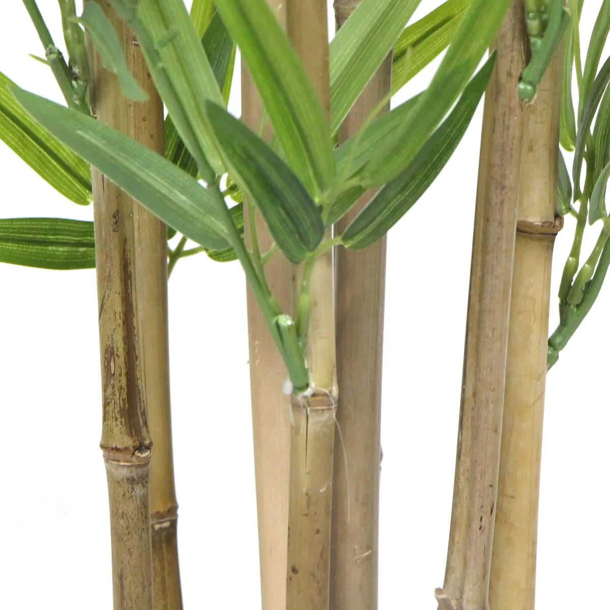 Natural Bamboo Trunk (Real Touch Leaves) 180cm