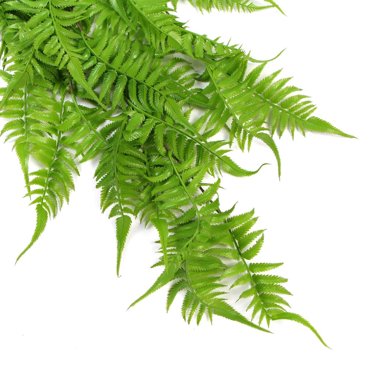 Artificial Hanging English Fern (Two-tone) Foliage UV Resistant 80cm - Active Workspace