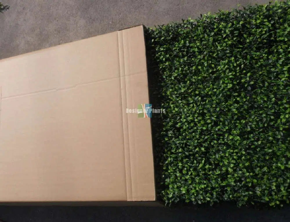 Large Portable Mixed Boxwood Hedge UV Resistant 100cm Long x 200cm High