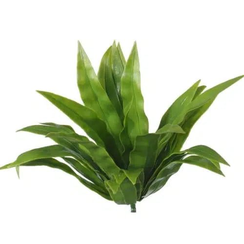 Aloe Vera Stem UV Resistant 20cm