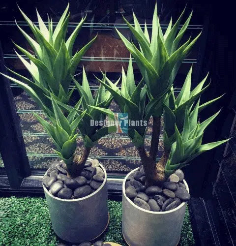 Artificial Agave Plant 100cm