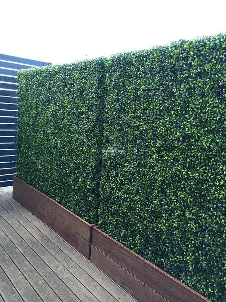 Large Portable Mixed Boxwood Hedge 1.5m by 1.5m UV Resistant