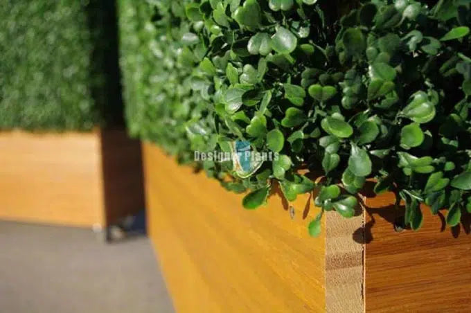 Deluxe Boxwood Hedges With Planters Various Sizes (Merbau Planters) (Wheels Optional)