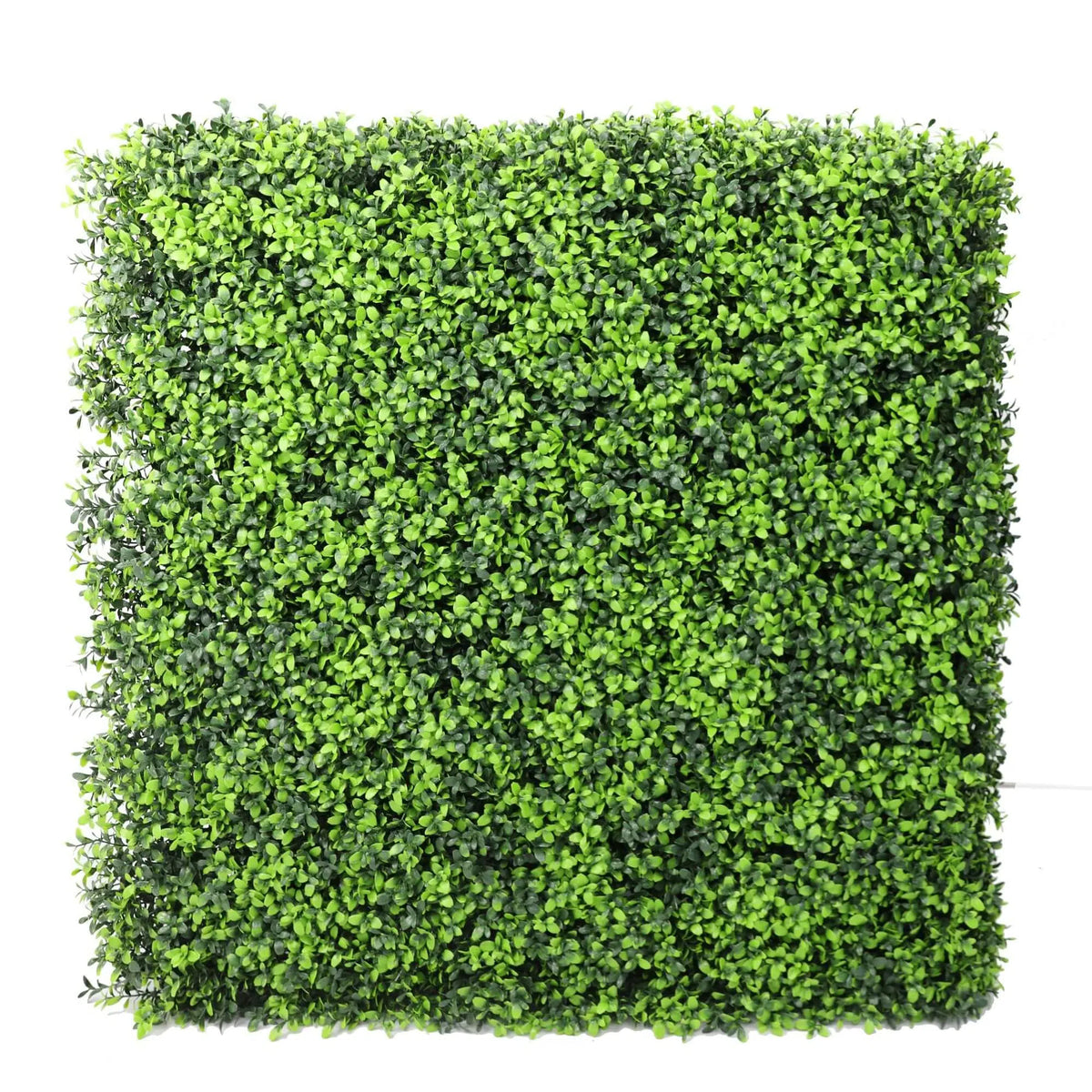 Portable Buxus Hedge UV Resistant 75cm x 75cm