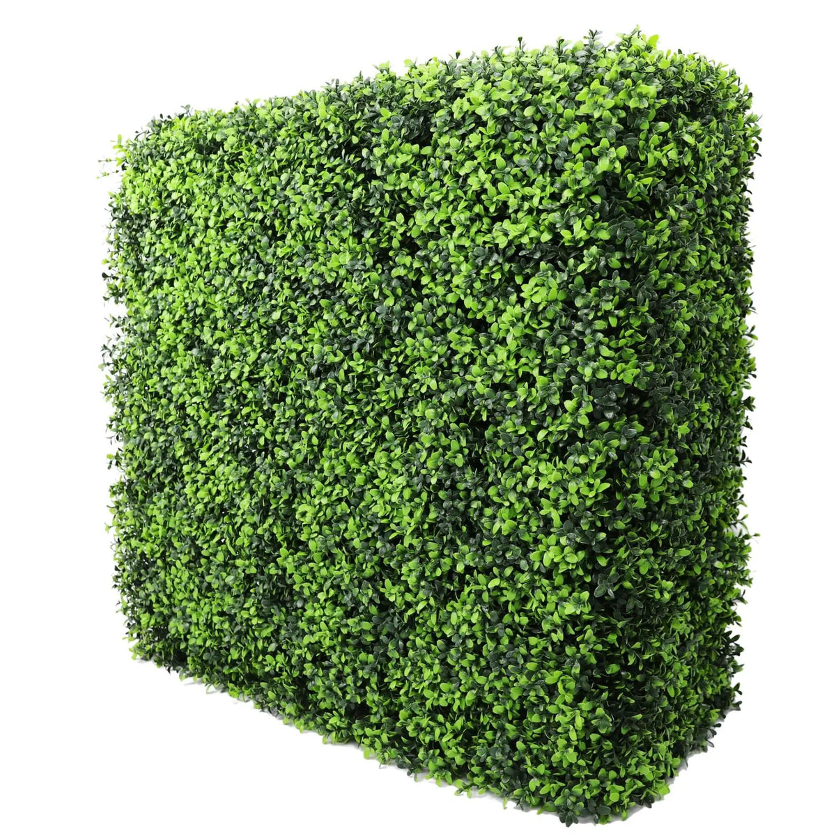 Portable Buxus Hedge UV Resistant 75cm x 75cm