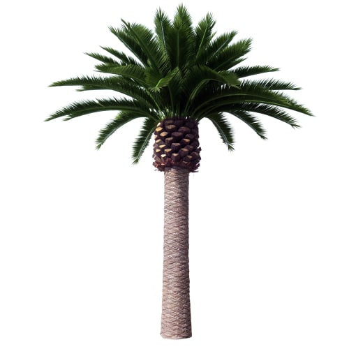 Tall Artificial Canary Palm Tree (4m to 7m) UV Resistant