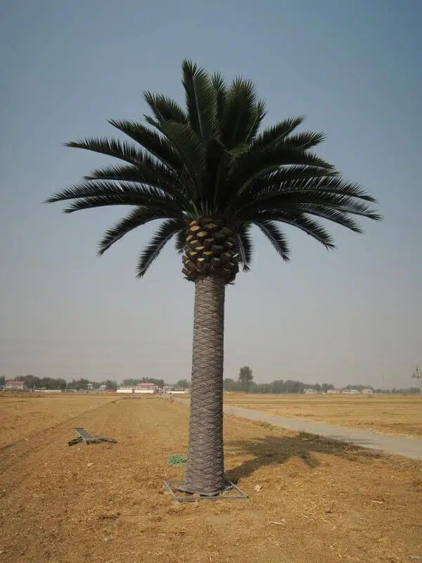 Tall Artificial Canary Palm Tree (4m to 7m) UV Resistant