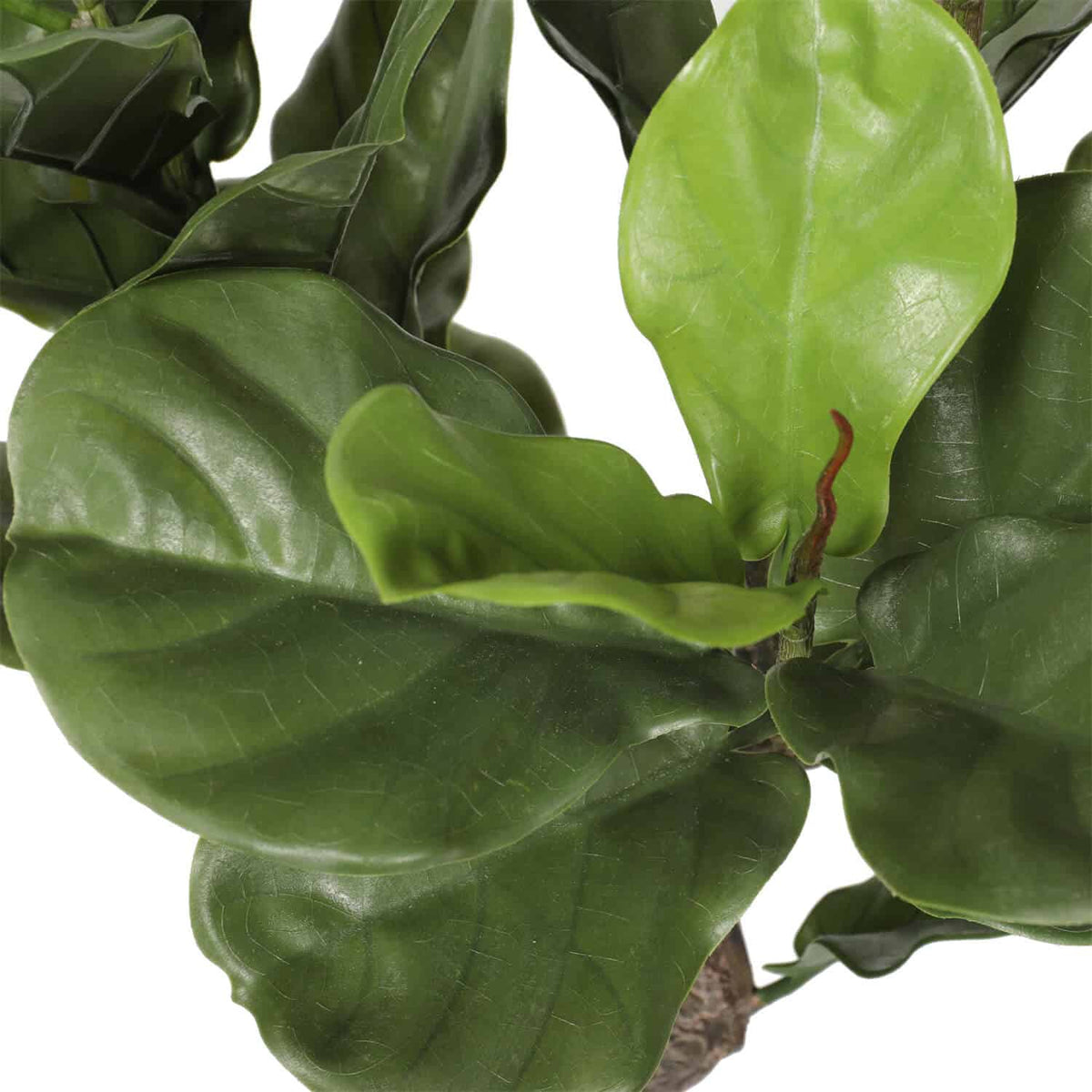 Premium Handcrafted Artificial Fiddle Leaf Fig Tree 150cm