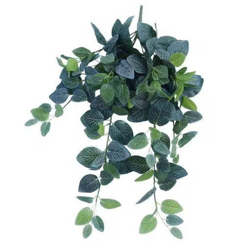 Artificial Fittonia Hanging Garland Bush 80cm