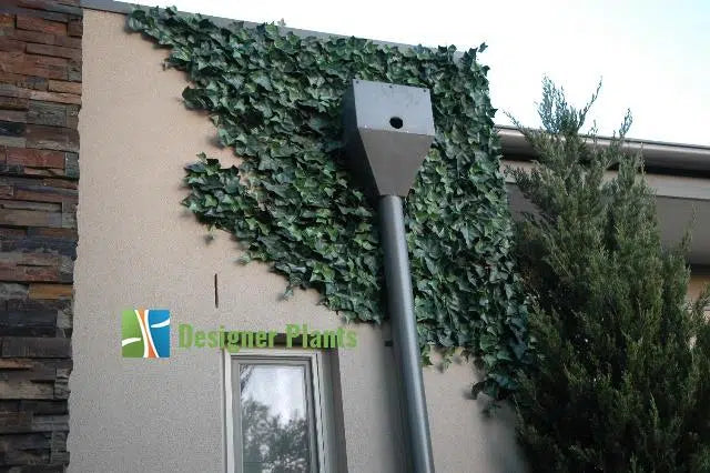 Boston Ivy Leaf Screen Green Wall Panel UV Resistant 1m x 1m