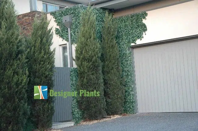 Boston Ivy Leaf Screen Green Wall Panel UV Resistant 1m x 1m