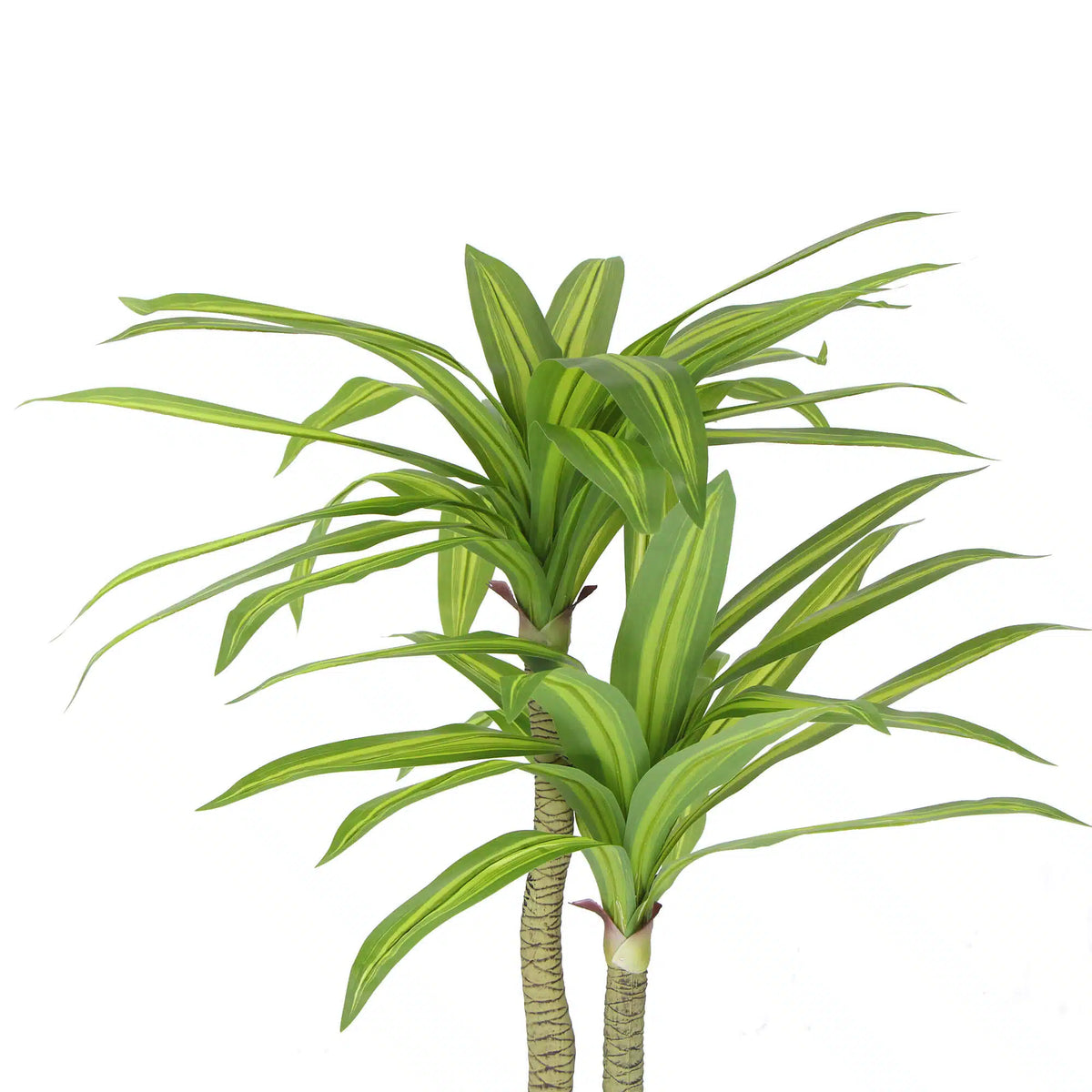 Artificial Multi Head Dracaena Tree with Mixed Green Leaves (Real Touch) 130cm