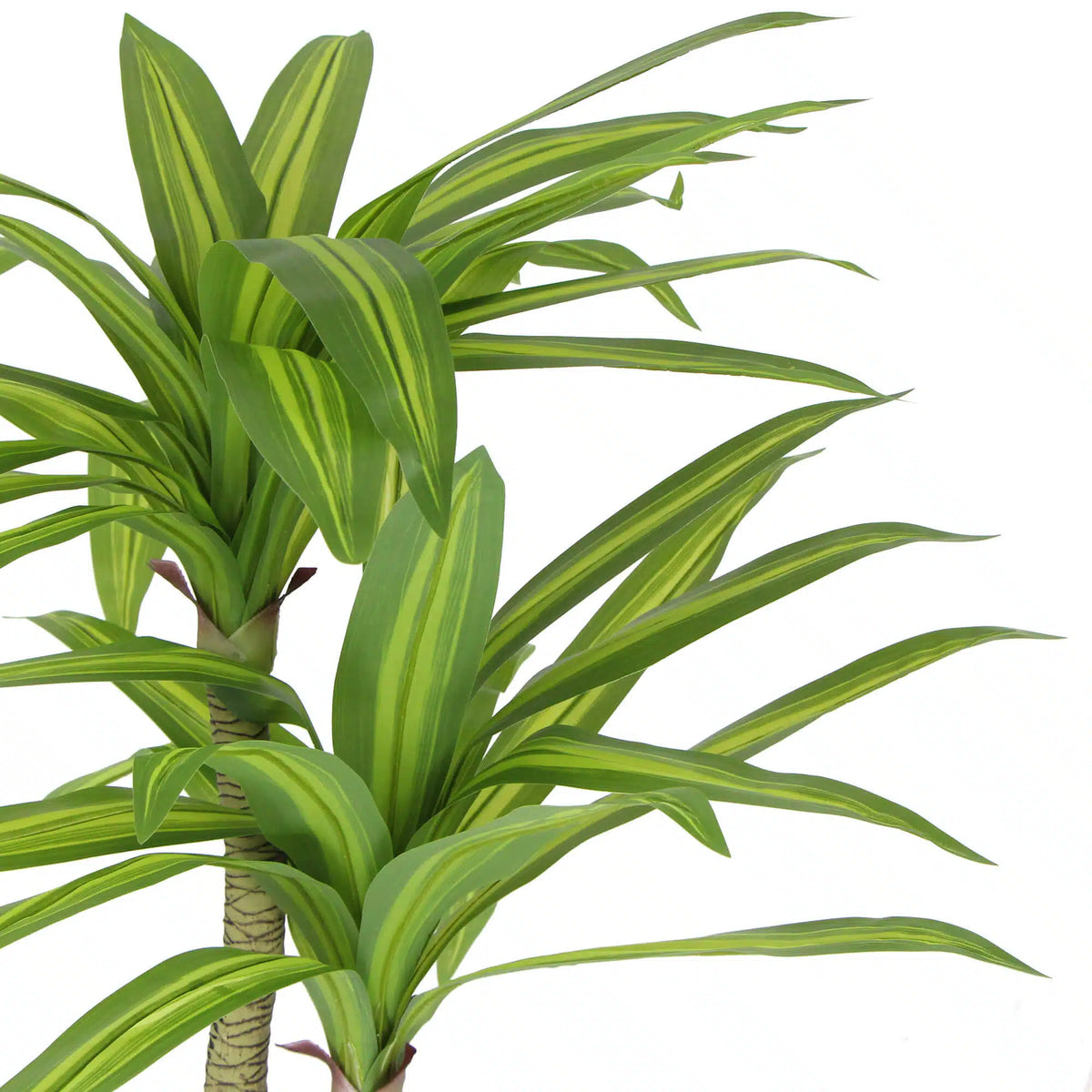 Artificial Multi Head Dracaena Tree with Mixed Green Leaves (Real Touch) 130cm