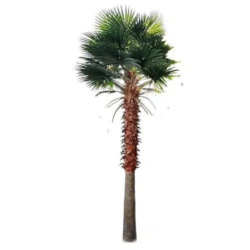 Tall Artificial Fan Palm Tree (4m to 7m) UV Resistant