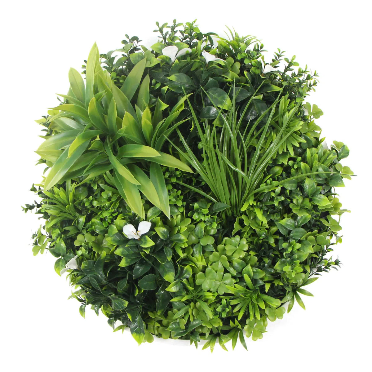 Flowering White Artificial Green Wall Disc UV Resistant 50cm Frame