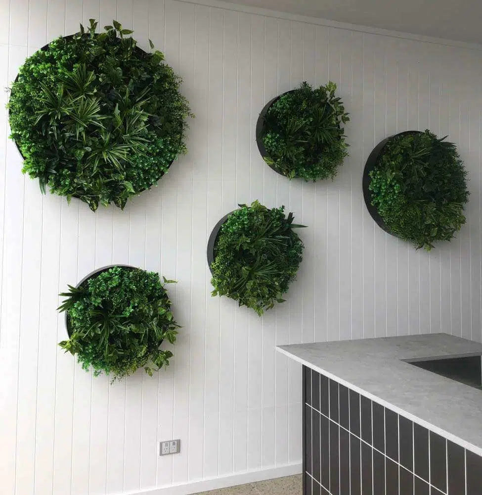 Artificial Green Wall Disc Art 80cm Mixed Aloe Vera (Onyx Black)