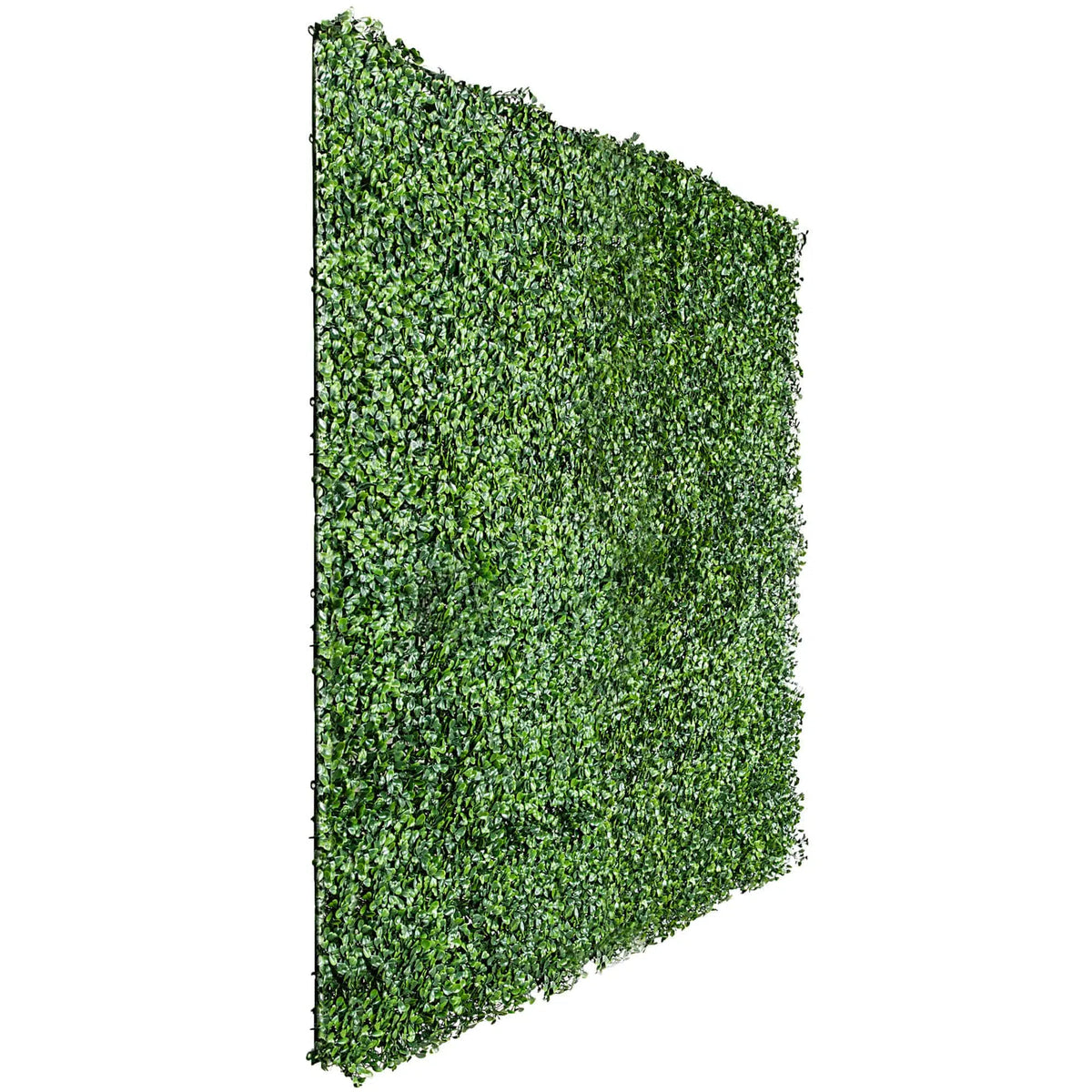 Boxwood Hedge Screen Green Wall Panel UV Resistant 100cm x 100cm