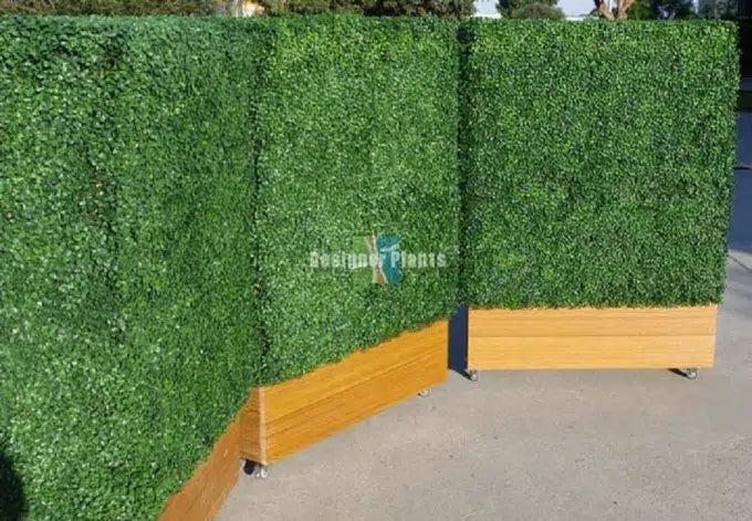 Deluxe Boxwood Hedges With Planters Various Sizes (Merbau Planters) (Wheels Optional)