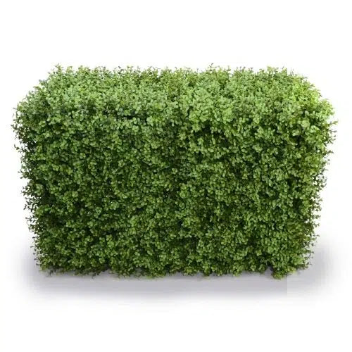 Deluxe Portable Buxus Hedge UV Resistant 100cm Long x 50cm High