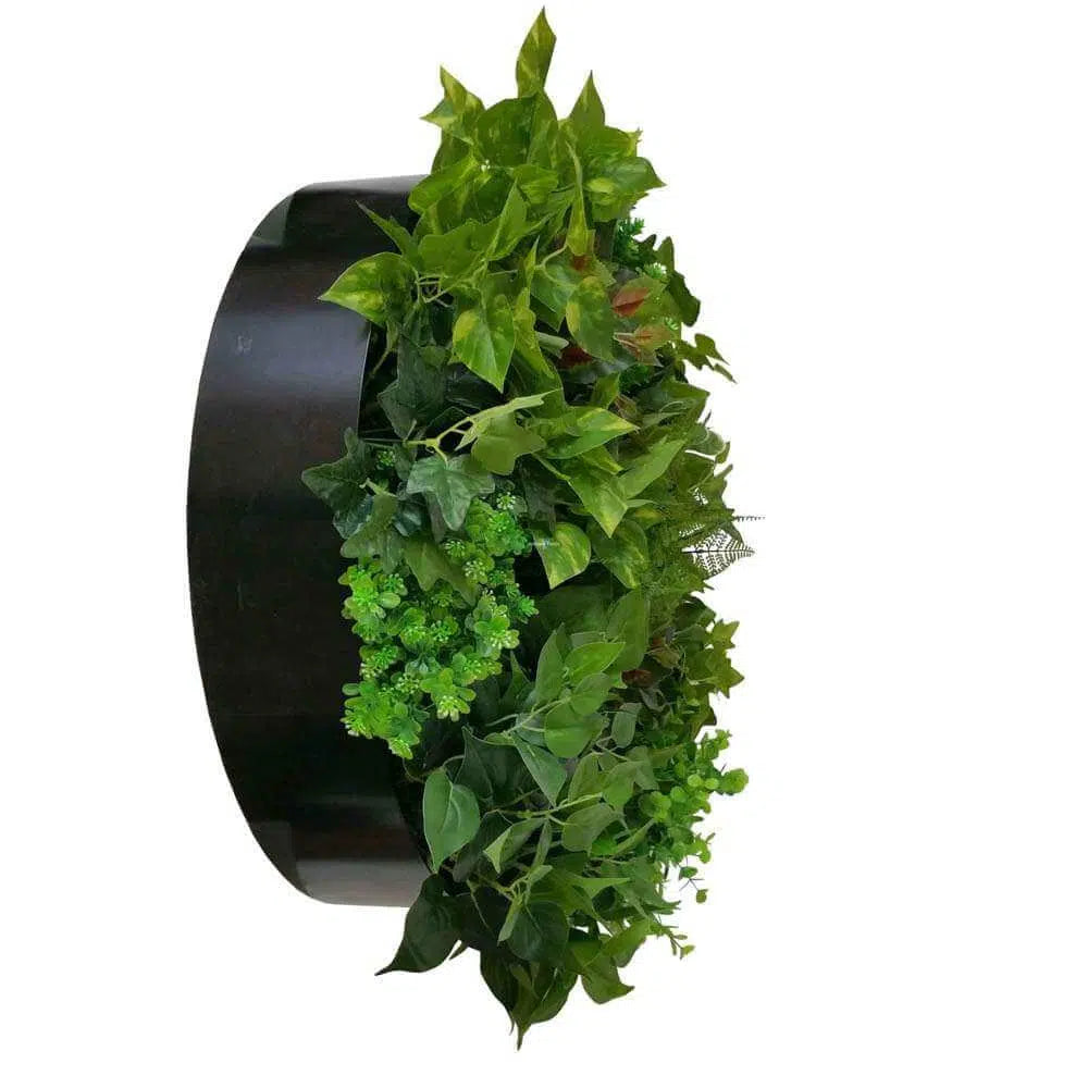 Artificial Green Wall Disc Art 60cm Mixed Fern &amp; Ivy (Onyx Black)