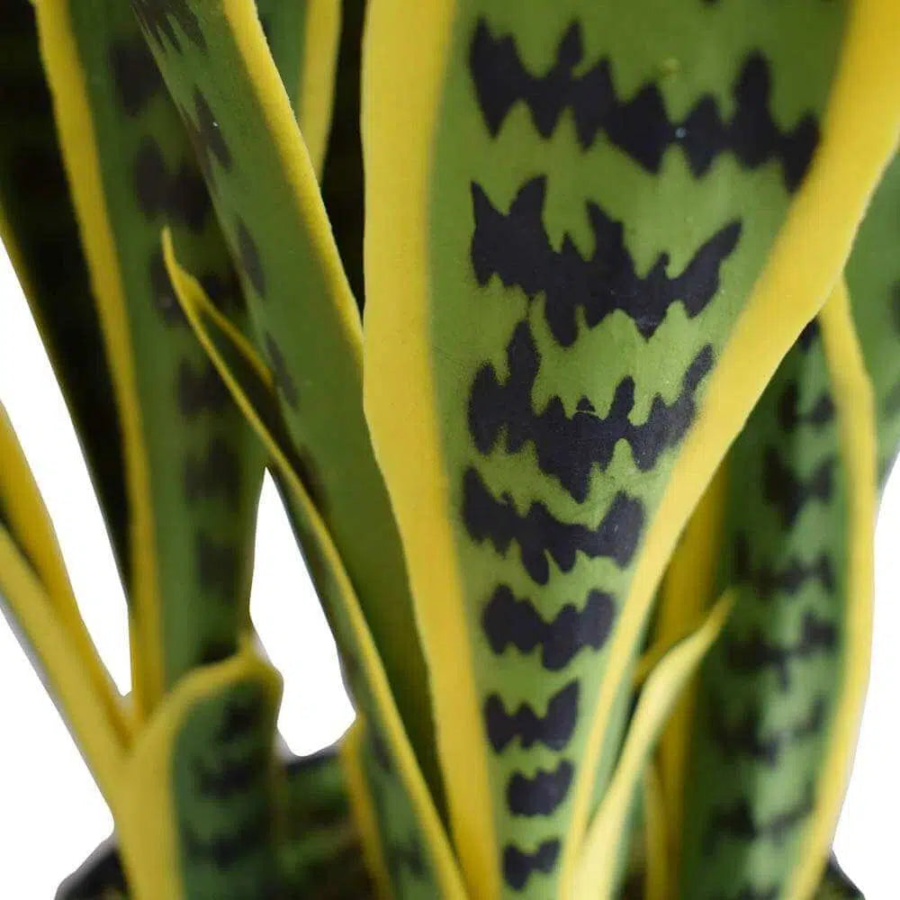 Artificial Mother in Law Tongue / Yellow Tongue Sansevieria UV Resistant 60CM