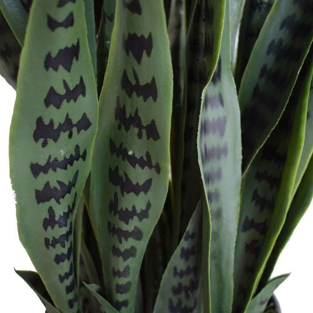 Artificial Snake Plant Sansevieria UV Resistant 100cm