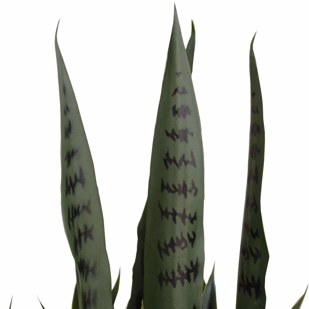 Artificial Snake Plant Sansevieria UV Resistant 100cm