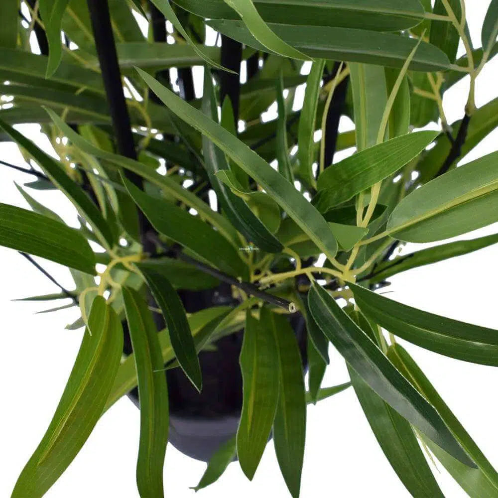 Artificial Bamboo Plant Black Bamboo 160cm Real Touch Leaves