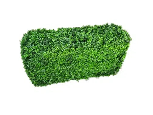 Deluxe Portable Buxus (Bright) UV Resistant 100cm Long x 50cm High x 25cm Wide