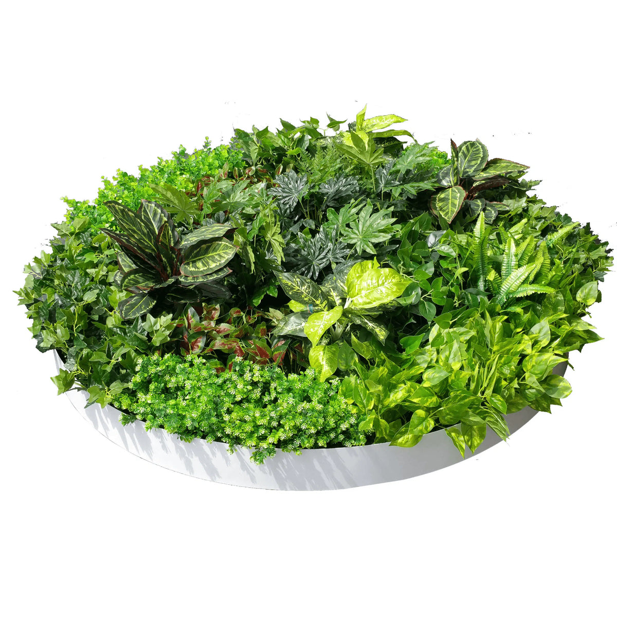 Artificial Green Wall Disc Art 150cm Dense Green Sensation (Fresh White)