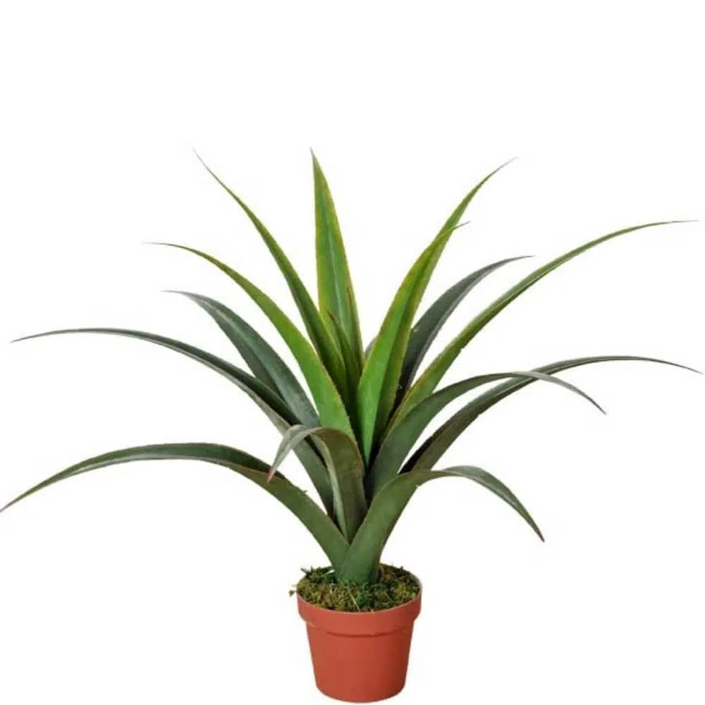 Artificial Dracaena Potted Plant 80cm