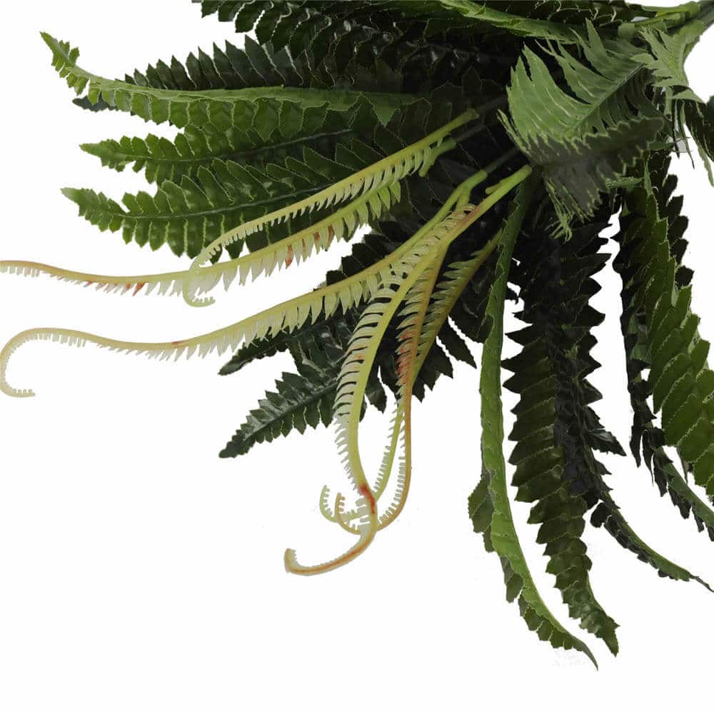 Artificial Dark Green Boston Fern 60cm