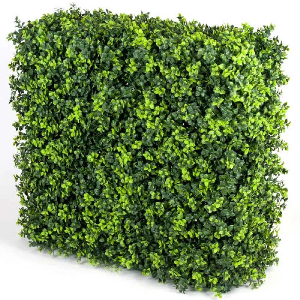 Portable Elm Hedge UV Resistant 75cm x 75cm