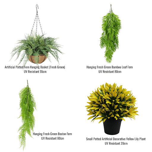 Hanging Basket, Ferns, and Small Potted Plant Bundle