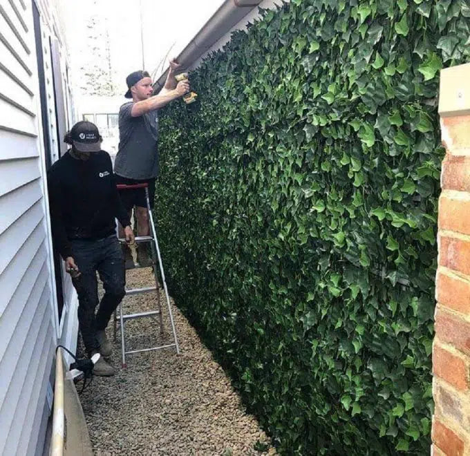 Boston Ivy Leaf Screen Green Wall Panel UV Resistant 1m x 1m